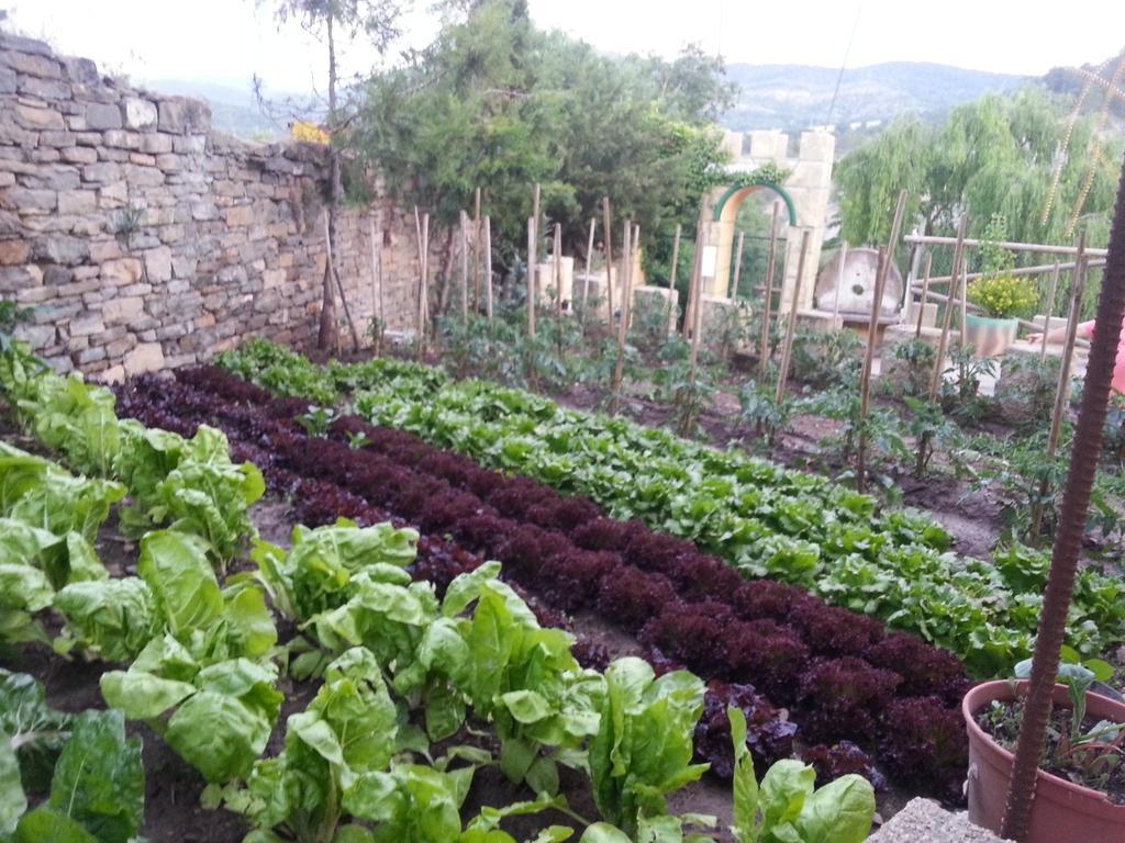 Las Bodegas De Claveria El Humo de Muro 外观 照片